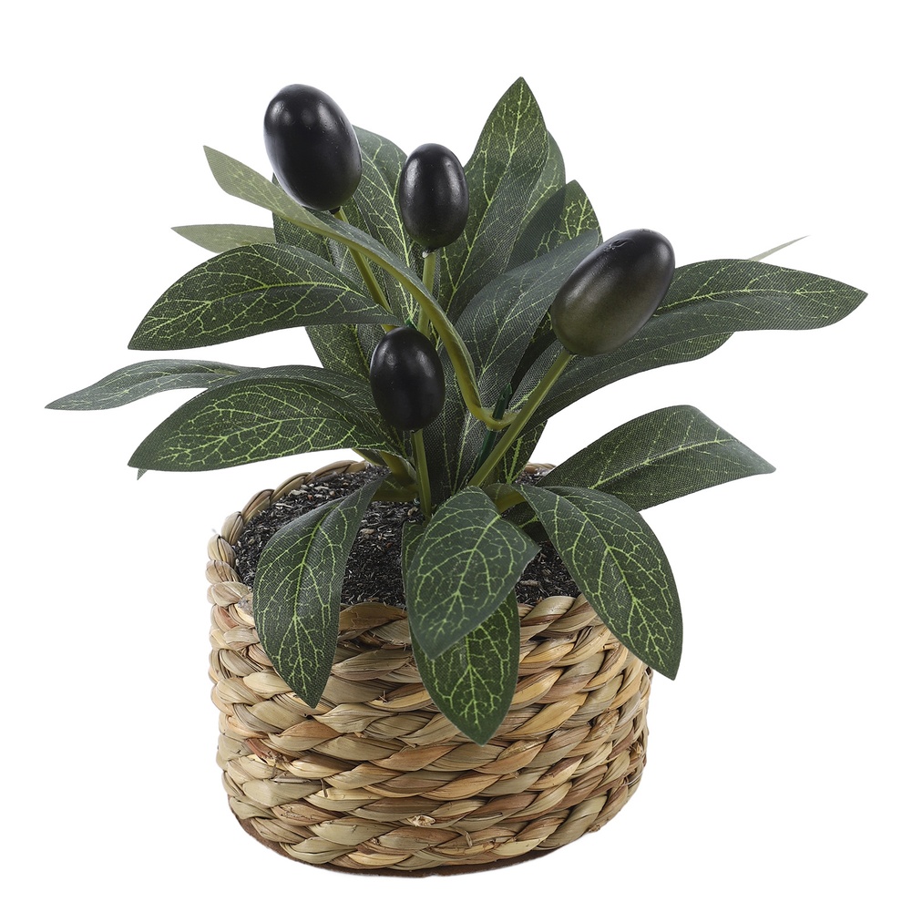 Plantas Artificiales, Olivo de - Office Furniture Brands reseña y precio